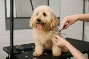Cutting - a key element in ensuring the health